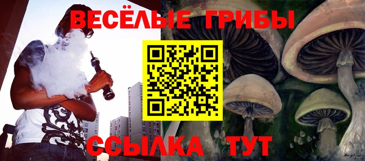 Семилуки  Галлюциногенные грибы MAGIC MUSHROOMS  где найти   Вход с VPN 